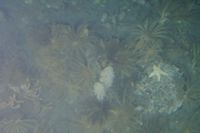 
DSC00247